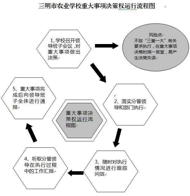 华体会(中国)重大事项决策权运行流程图.JPG
